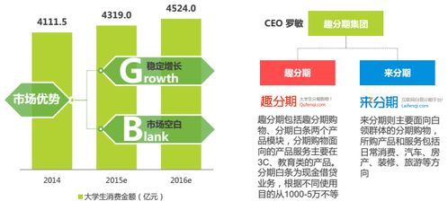 分期电商市场深度调研 现状、机遇与挑战