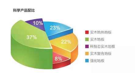 大王椰地板金华店盛大开业销售火爆，精准市场调研下的六大王牌政策解析